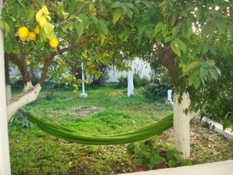 Artistic House In Limni Eviasヴィラ エクステリア 写真